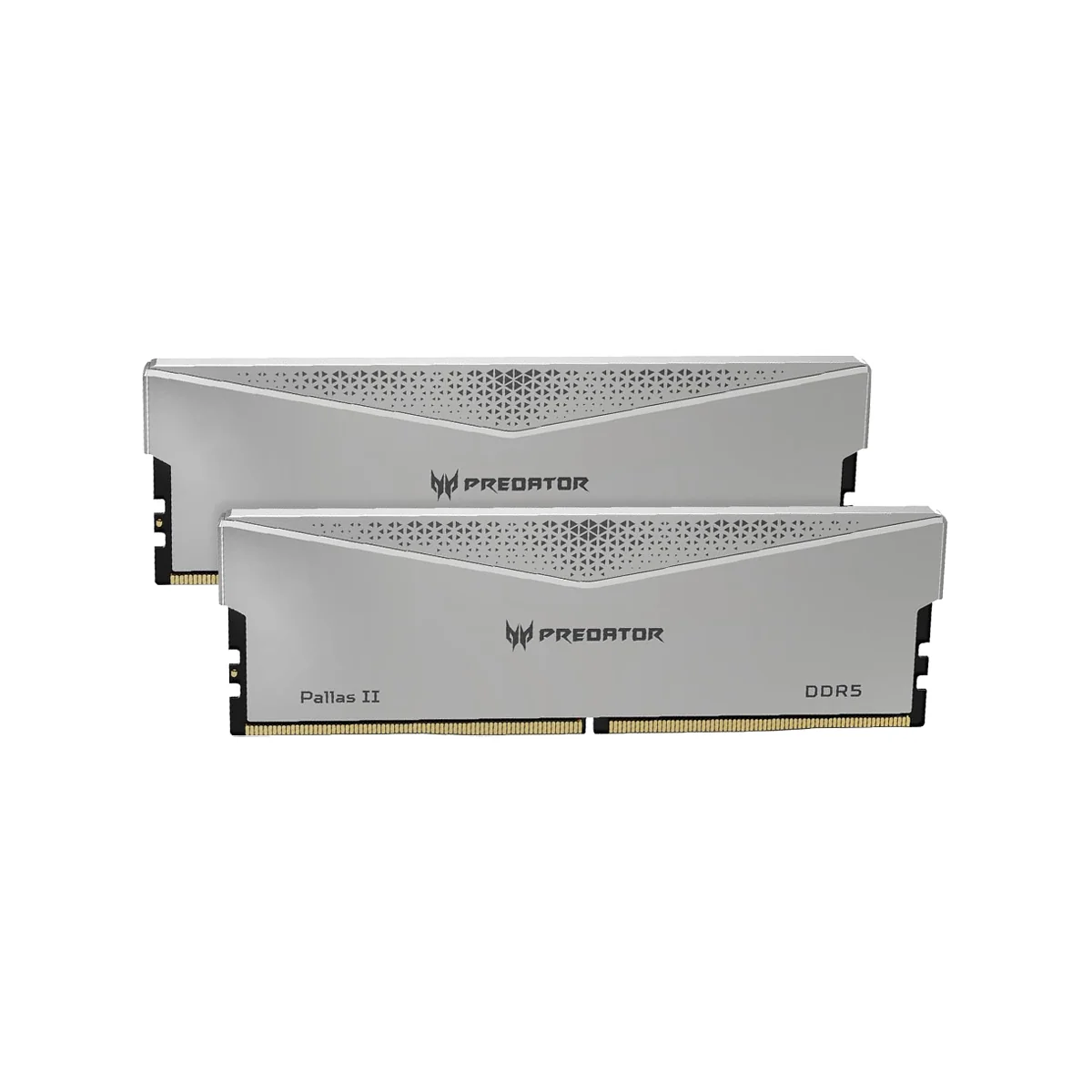 Acer Pallas Ii 2x16gb 6000mhz cl36 32 GB