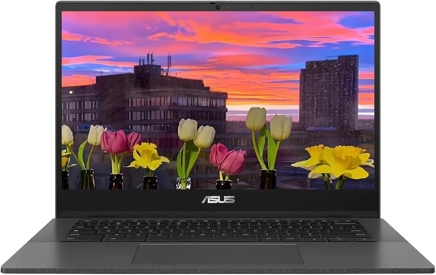 Asus Chromebook cm1402 Laptop 64 GB