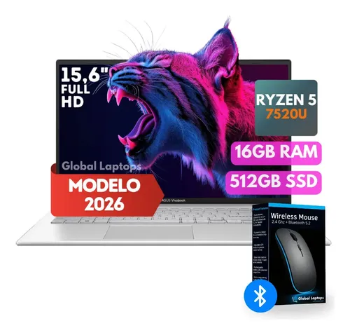 Asus Vivobook Go Ryzen 5 Ssd 512 GB