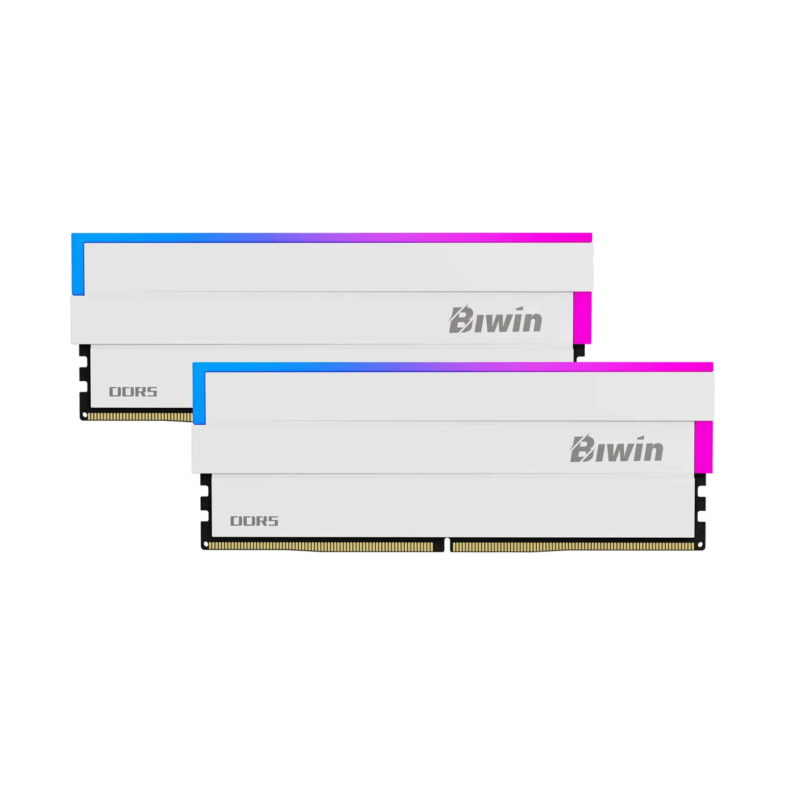 Biwin Opal dw100 Rgb 2x16gb ddr5 32 GB