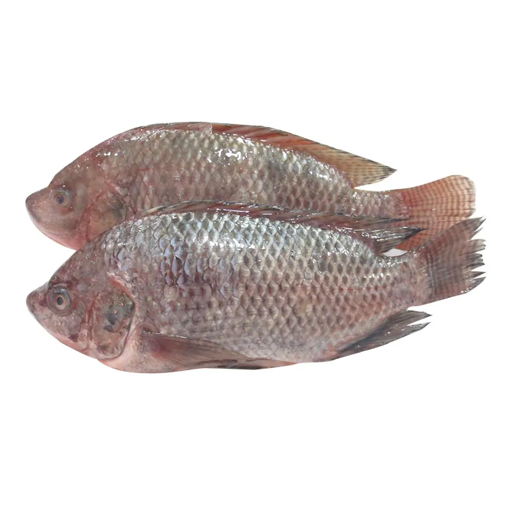CENCOSUD Mojarra X 500 G refrigerado