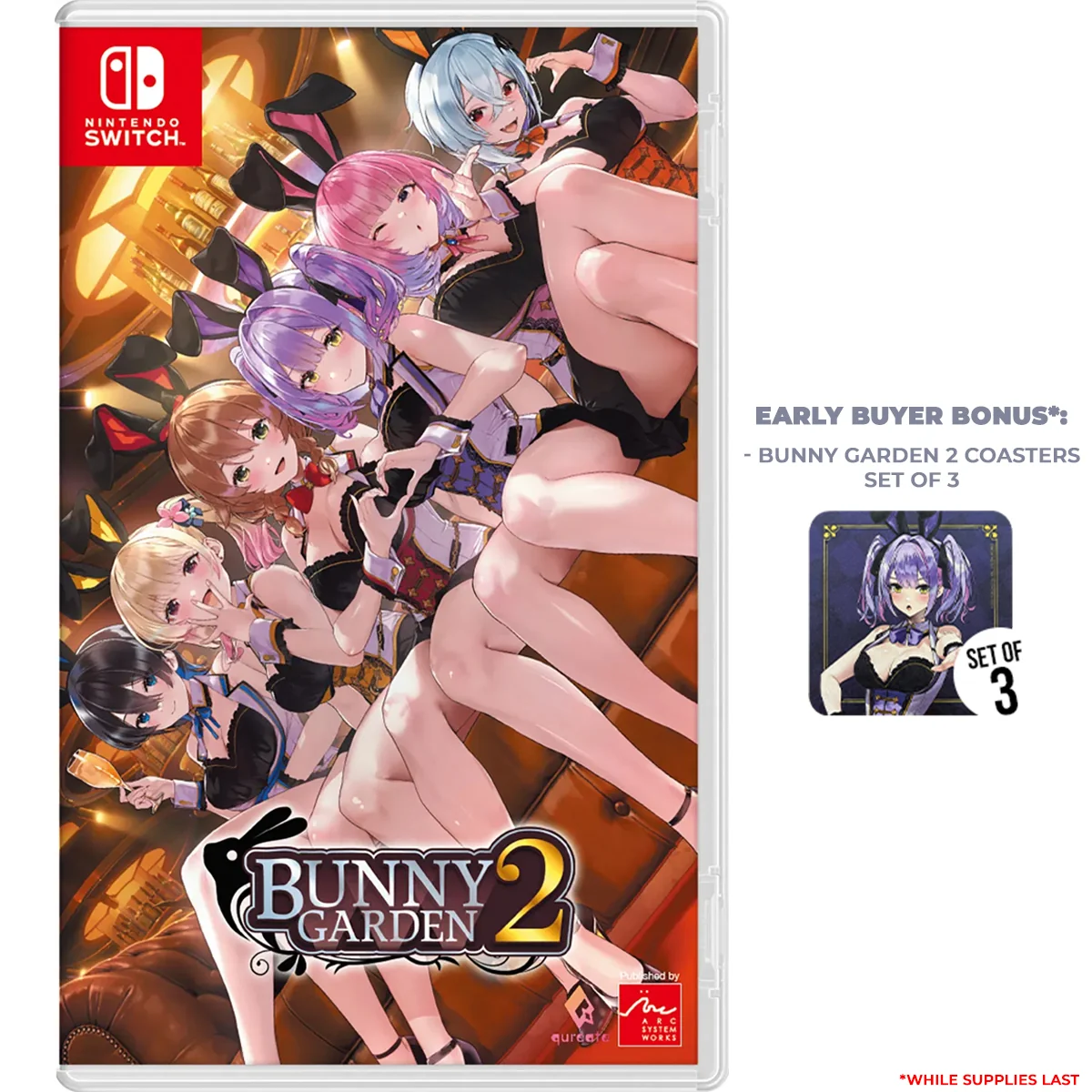 H2 Interactive Nintendo Switch Bunny Garden 2 Asian