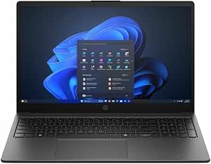HP 255r g10 15 6 Notebook 512 GB