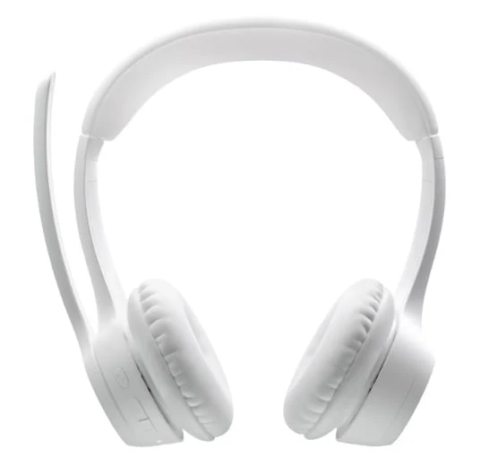 Logitech Zone 300