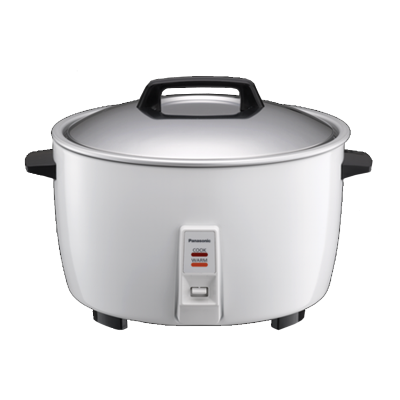 PANASONIC Sr ga421s 4 2 Liters