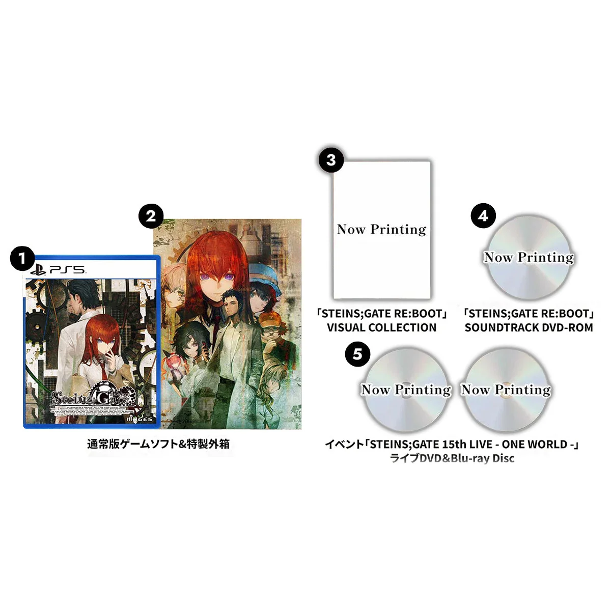 SEGA ps5 Steins Gate Re Boot Limited