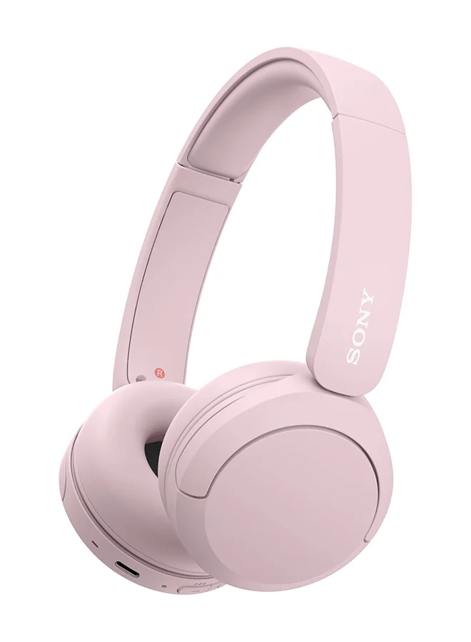 Sony On Ear Wh ch520