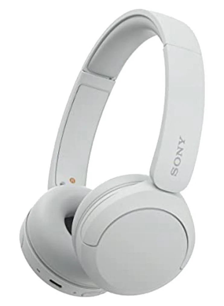 Sony Wh ch520